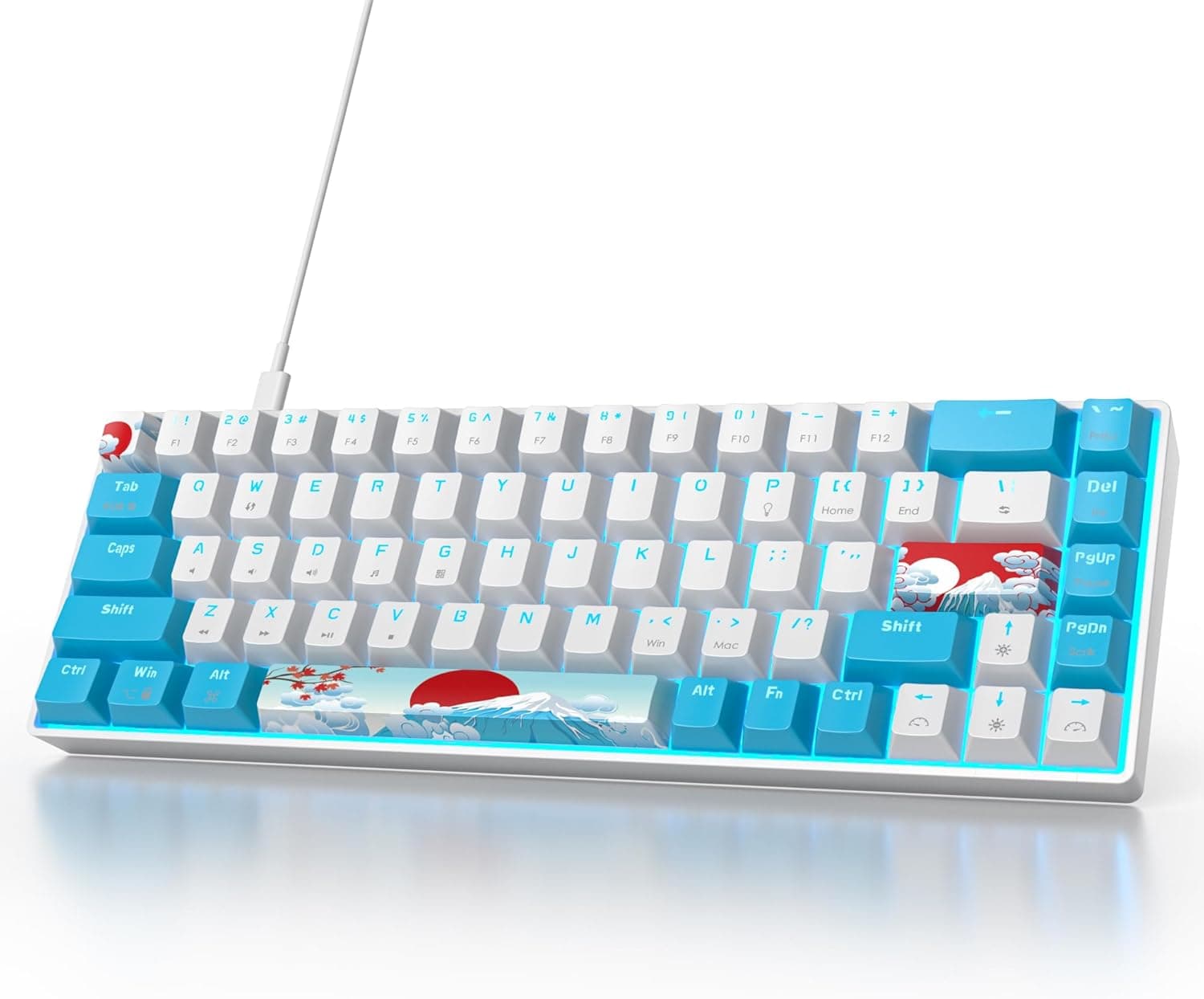Owpkeenthy Wired 65% Mechanical Gaming Keyboard 68 Keys Blue Switch RGB